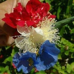 Meet your Posher, Jade